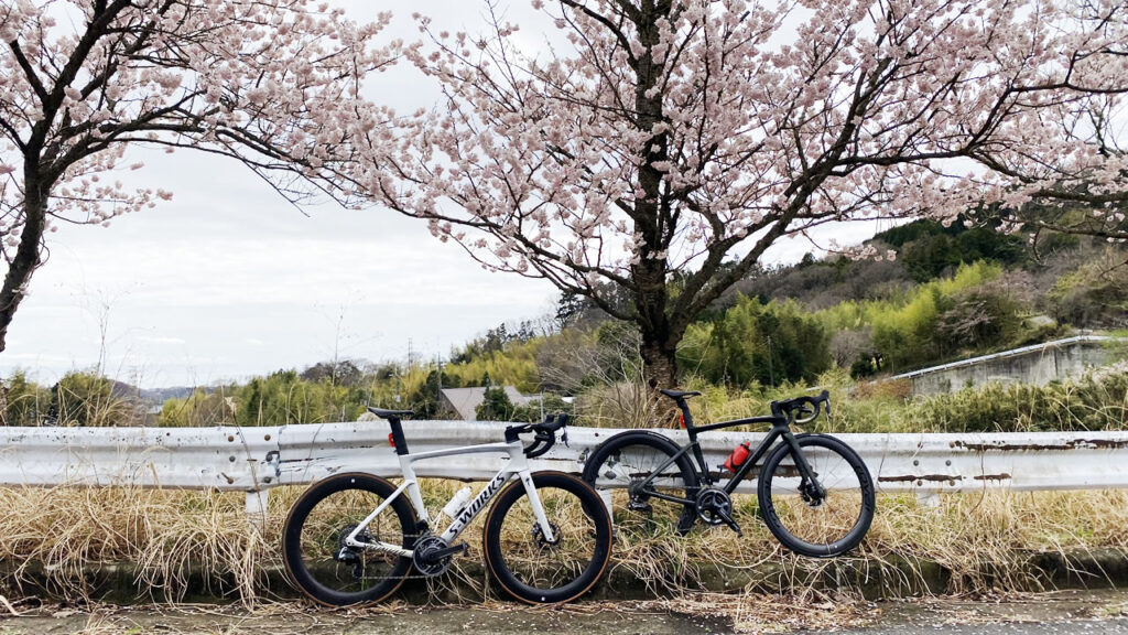 蓑毛にはまだまだあるのだ、桜スポット