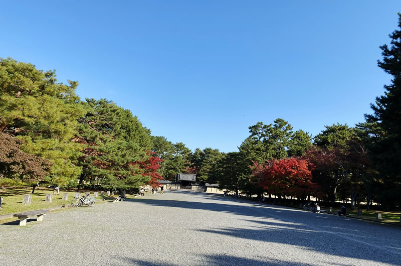 京都御所は家族連れにピッタリ