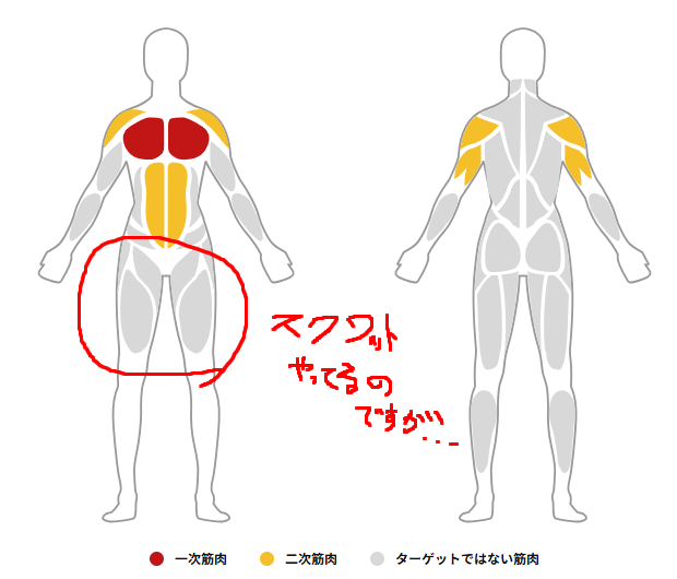 ほんとはスクワットばかりなんですよ?