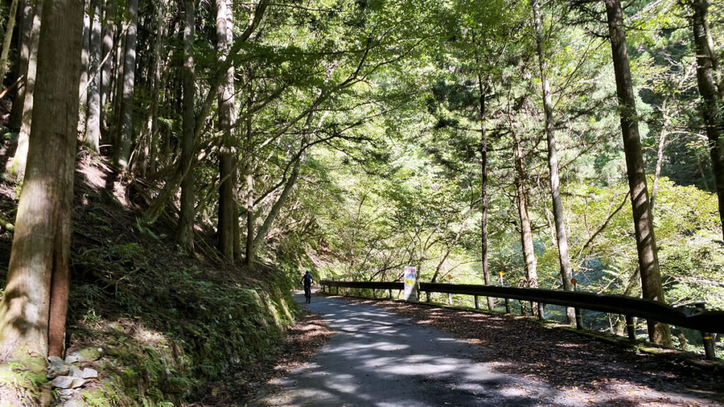 林道川乗線を目指す