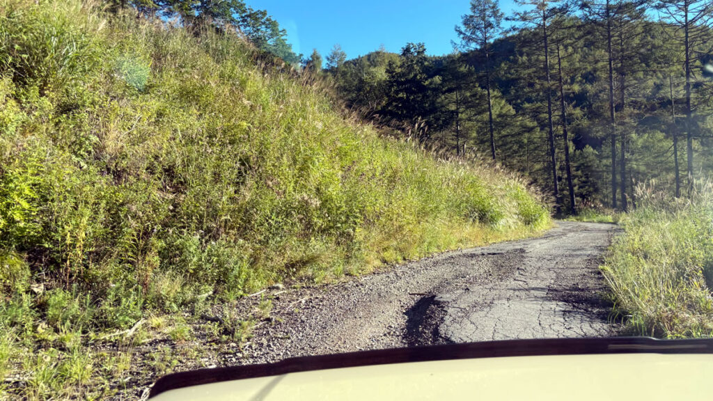 だいたい舗装路です