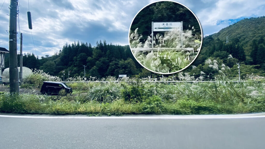 只見線沿いをひたすら走ります