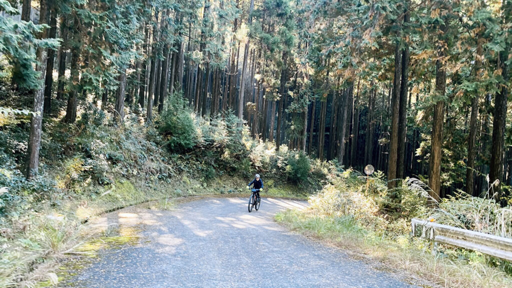 上りが盛りだくさんでみんなニッコリ
