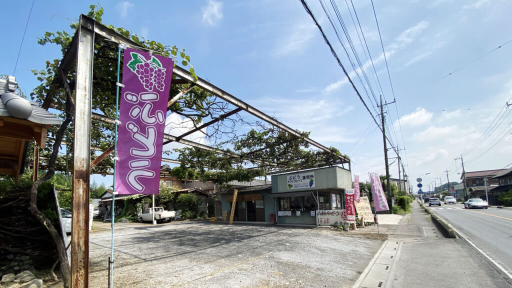 寄居のブドウ園はやっていたけどちちぶ山ルビーはなし