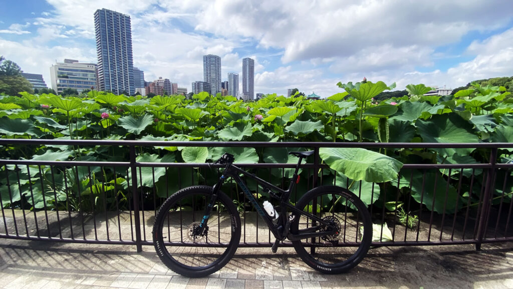 体力余って3時間ローラーの後サイクリングしちゃう