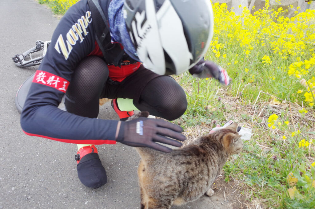 このワシが猫の歓待を受けるなんて！