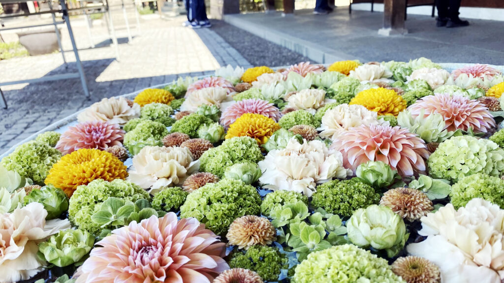 八幡神社の花手水