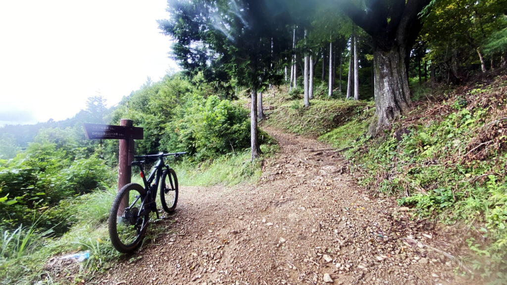 登山道に見えるけど、まだまだダブルトラック