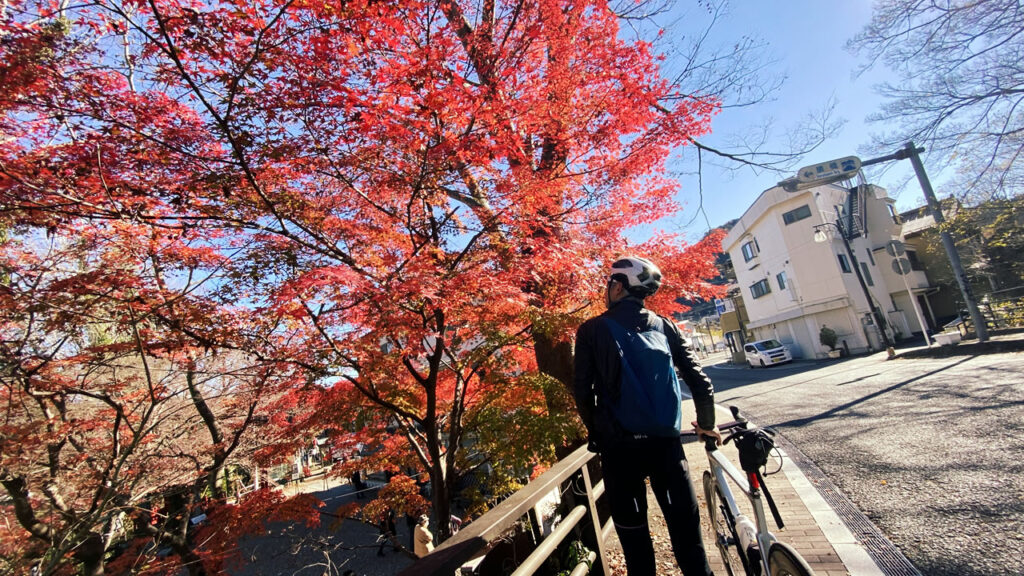 猿橋の紅葉がキレイだったなぁ