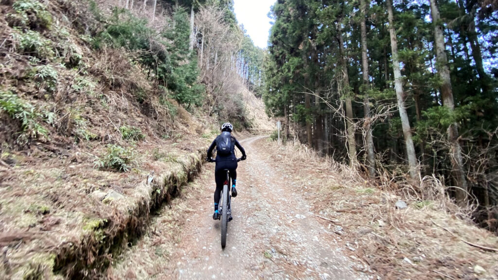 グラベルは斜度が緩く、路面も良好で走りやすい