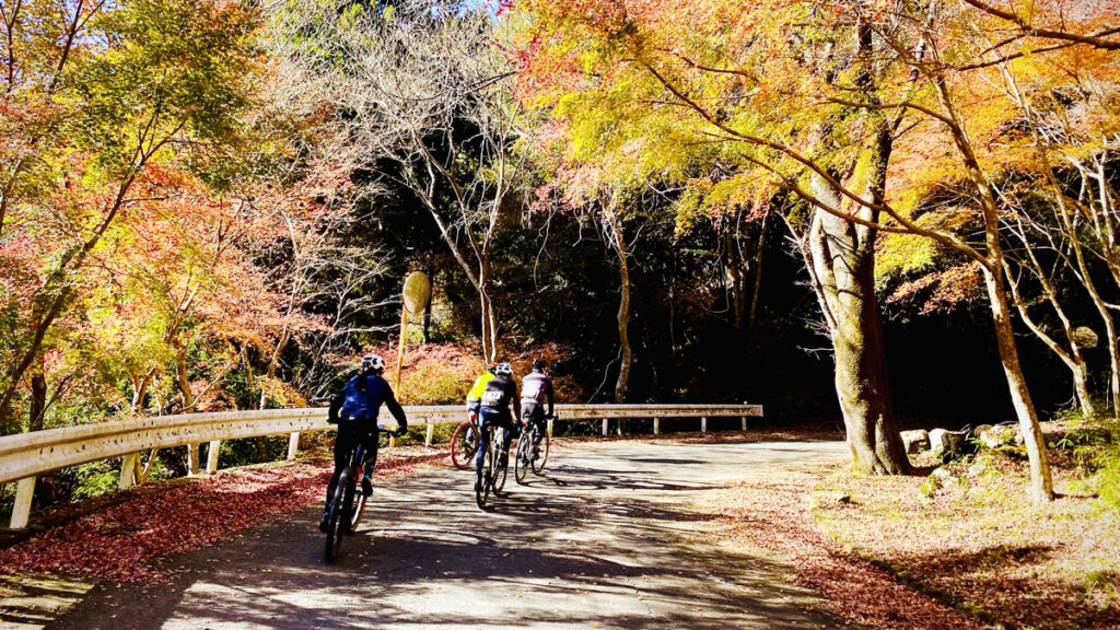 紅葉が真っ盛りでした