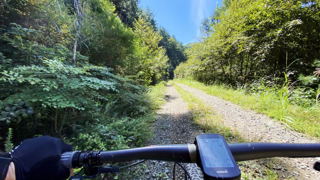 草木は増えるが安定の路面状況の良さが続く