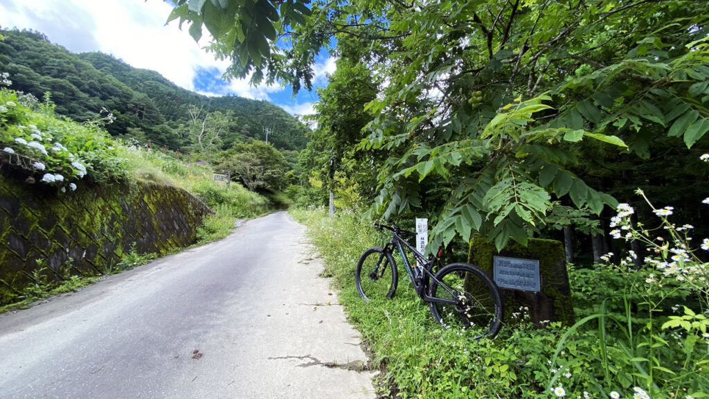 万沢林道の起点