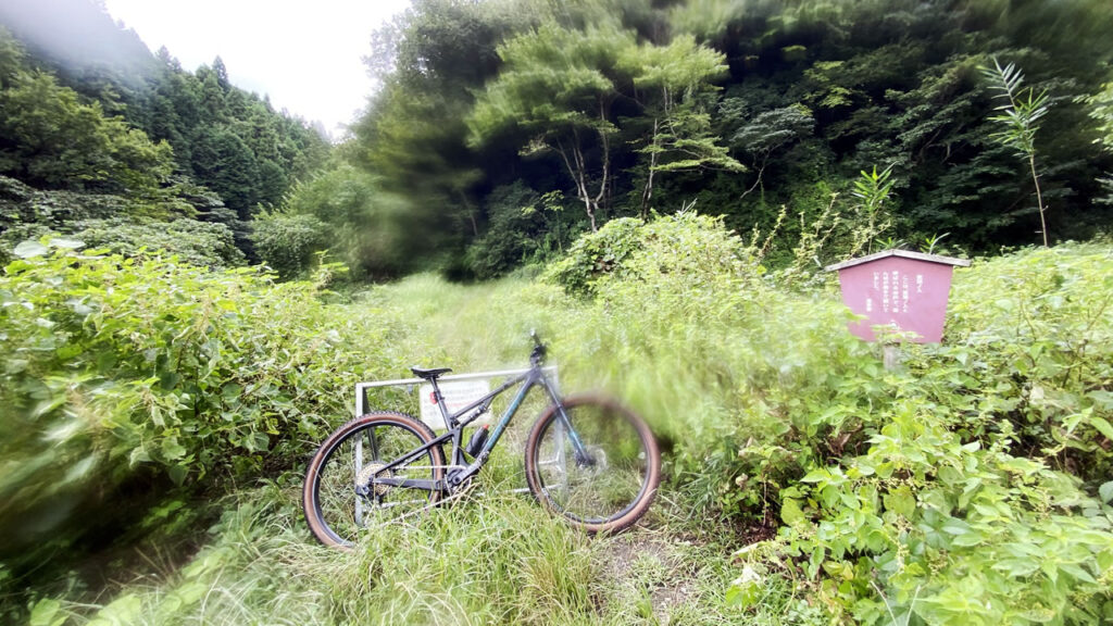 出口は横沢入（荒田の入り）