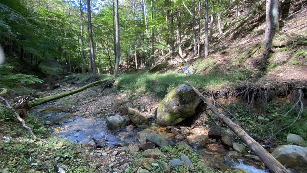 MTBは置いて沢登りに