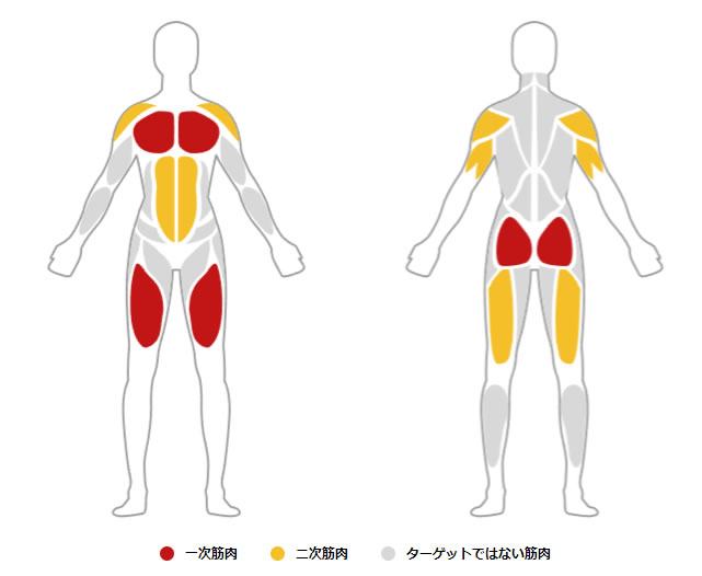 今年の冬は筋トレをしっかり続けます！