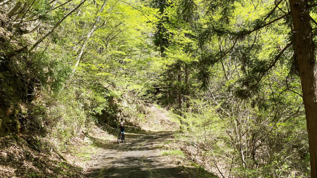 秋鹿大影林道は5.6km、7%の上りです