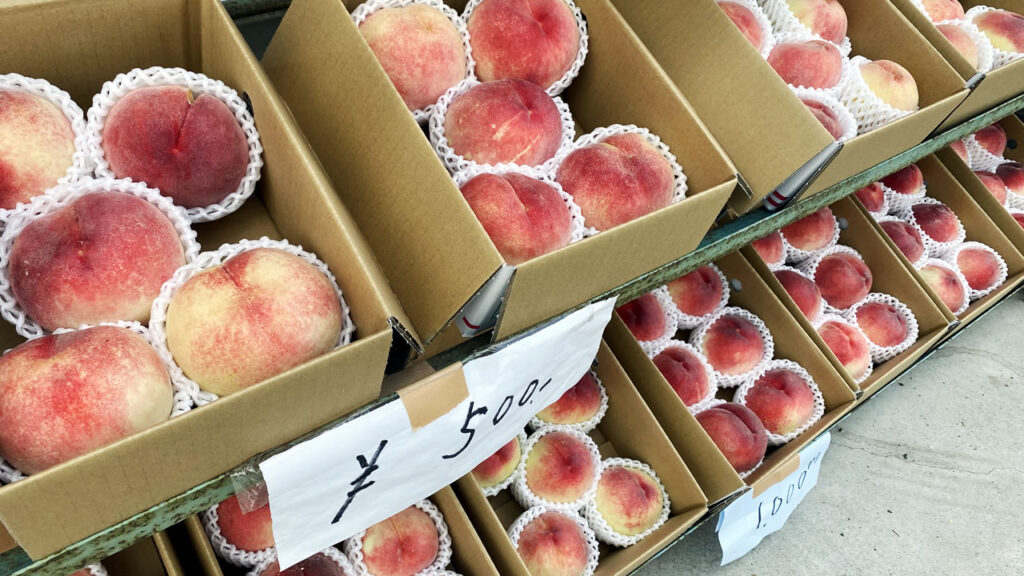 芦沢農園で旬の桃を大量ゲット！