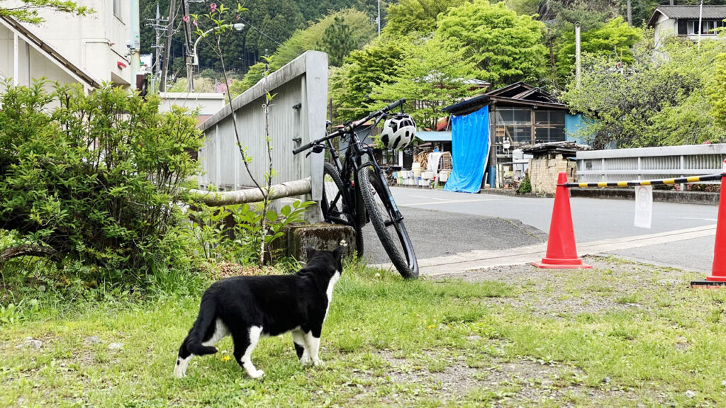 高水山ヒルクライムの舗装区間は普通のヒルクライム