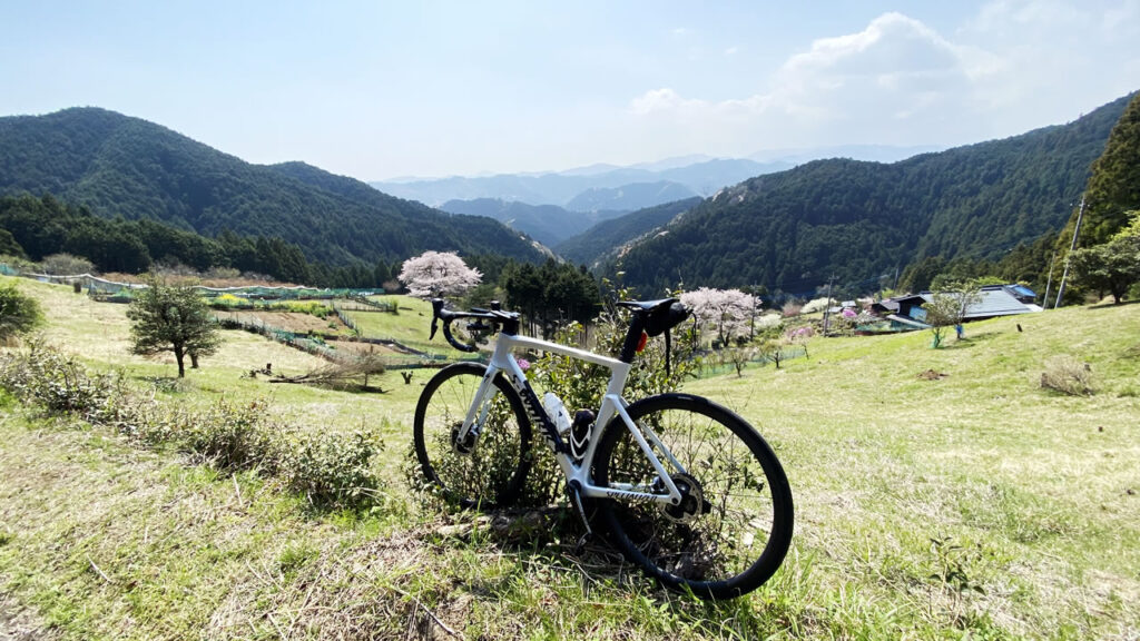 最終目的地は八徳の一本桜！