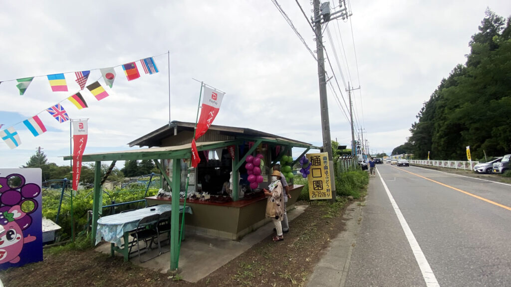 榛東村ぶどう郷で2022年の初ぶどうをゲット！