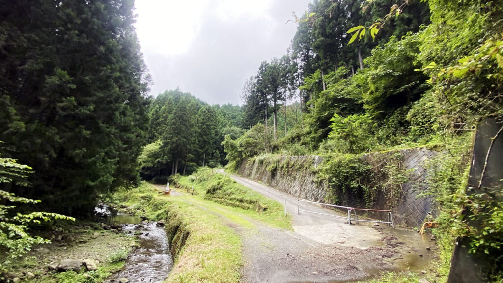 謎の分岐に遭遇