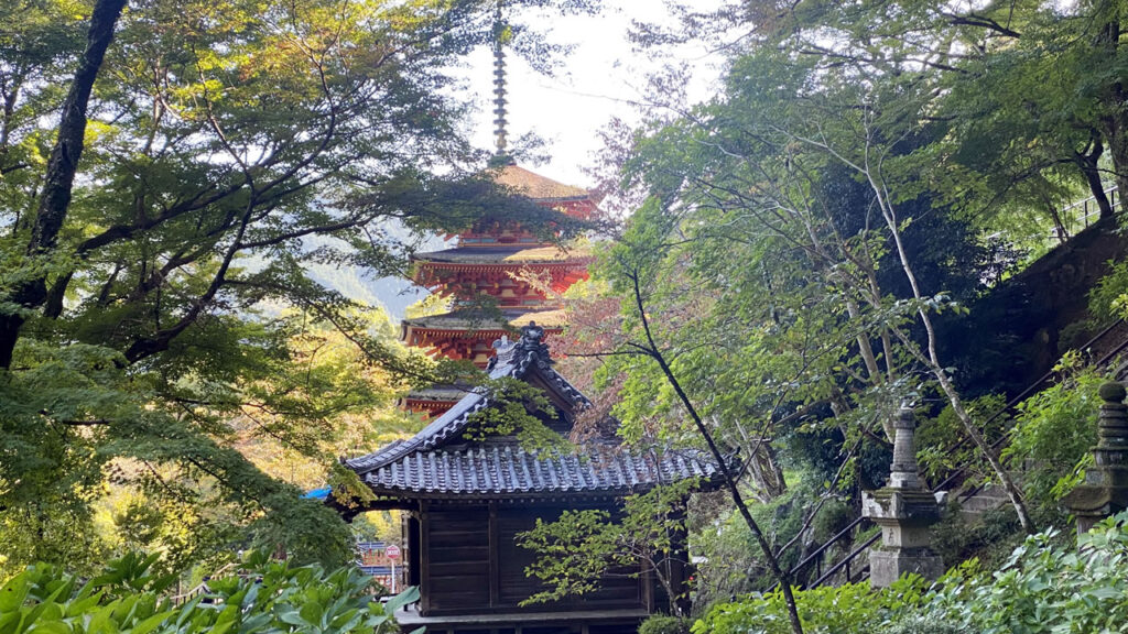 紅葉の時期の長谷寺はもっと凄いだろうな