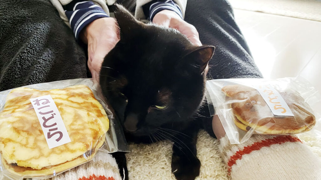 黒猫氏とねこどら、どっちを食べちゃおうかなぁ