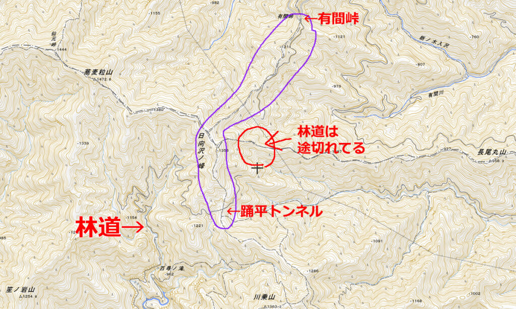 林道がある・・・ように見えるけど（途中まで）