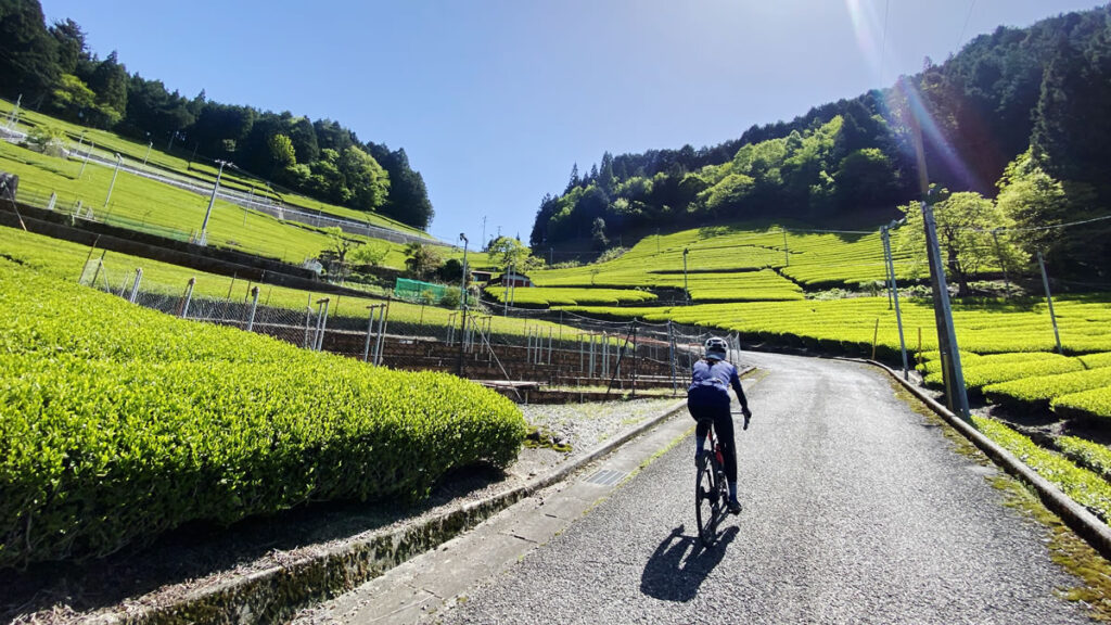 SFRは力不足で効果が限定的