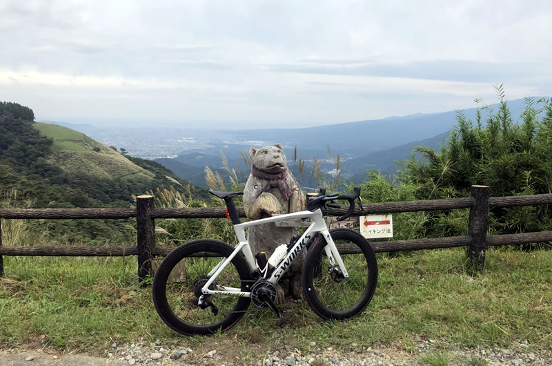 大野山の山頂には熊がいます（iPhone7）