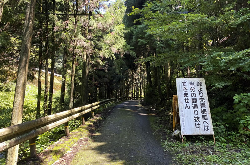 梅野木峠の林道に入るとさらに斜度がきつくなる