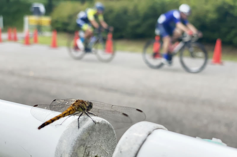 Withコロナの自転車イベントの在り方を問うJBCF東日本ロードクラシック群馬大会