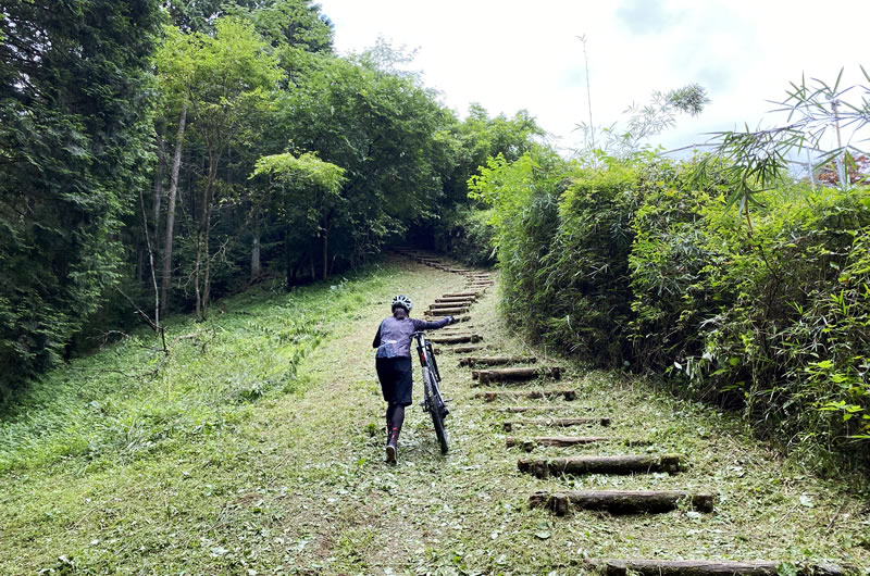 小道の先には、果てしなく階段が続いていた