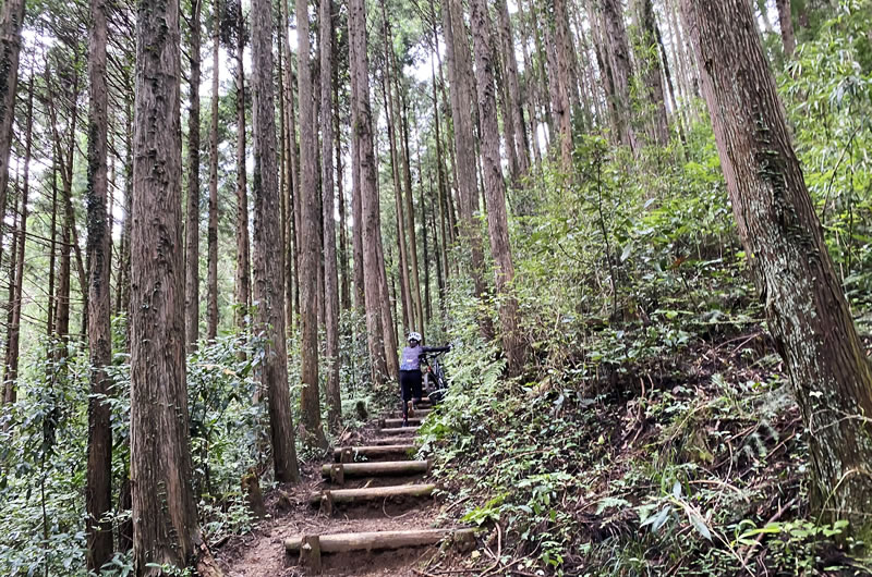 マウンテンバイクを押して登山することになるとは