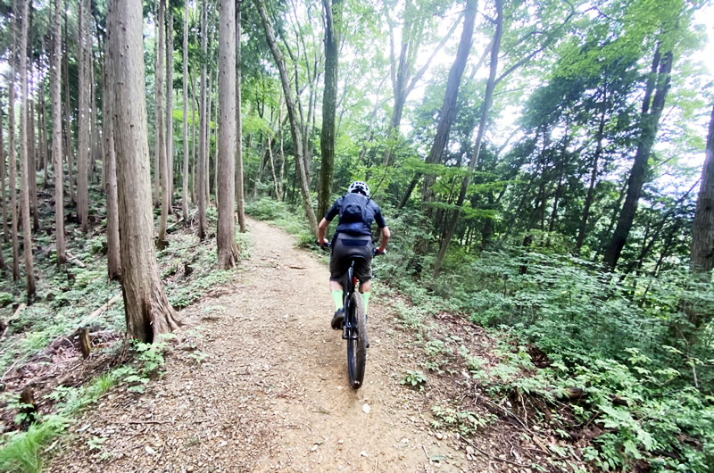 MTBが勝手にグレードアップ！ XRC 1200 SPLINEがやってきた