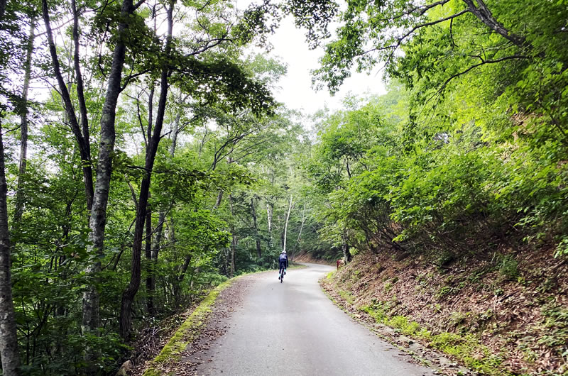 奥武蔵グリーンラインのような小熊山への道