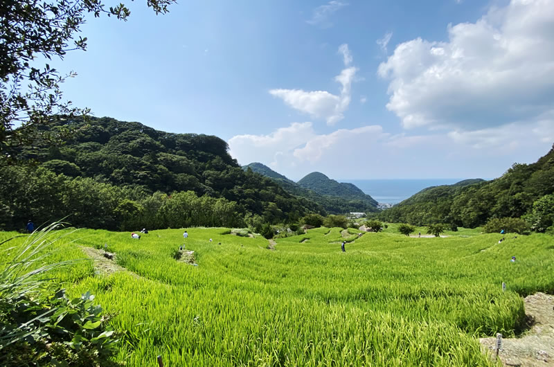 石部の棚田の絶景はぜひとも見たい自転車百景