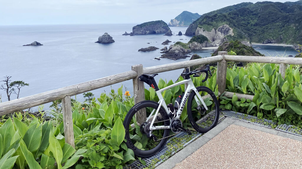 日本で通勤中にトレーニングするのは厳しいのではなかろうか(-_-;)