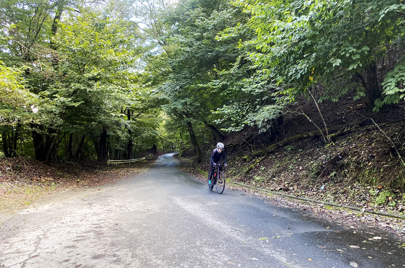 笹子峠の頂上地点