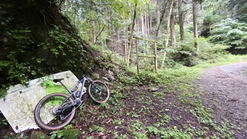 しかし2本目の林道はガチだった／(^o^)＼