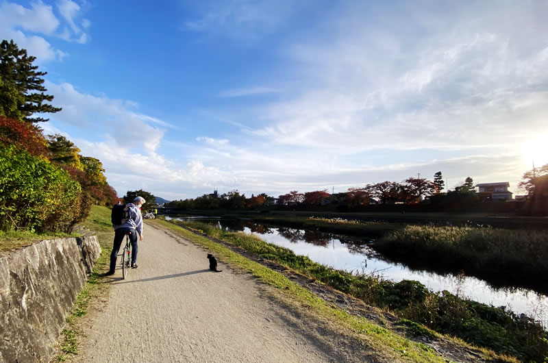 TOKYO BIKEなら気になった場所ですぐに止まれる