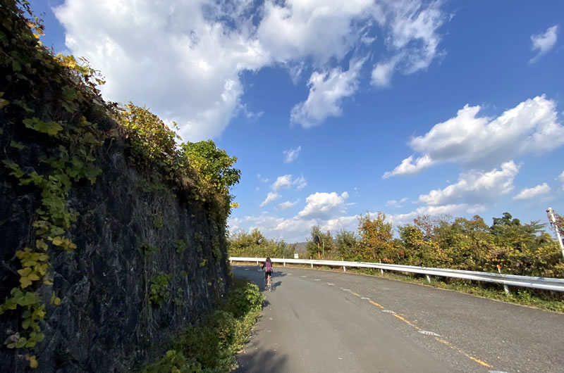 頑張ればヒルクライムもできるけど、山や遠乗りはロードバイクのほうが楽