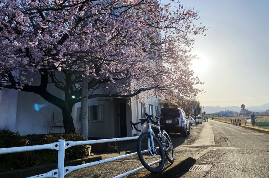 東京にも桜の便りが届きました