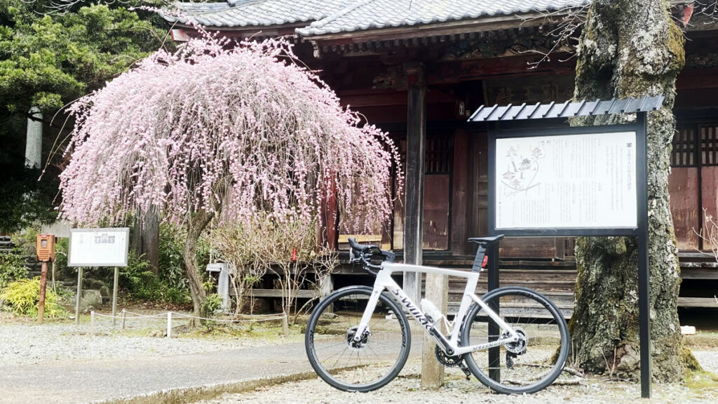 大日堂の桜がホント素敵