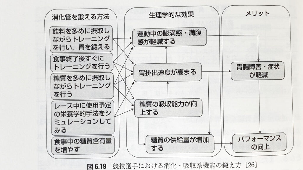 胃腸を鍛えるメリット相関図