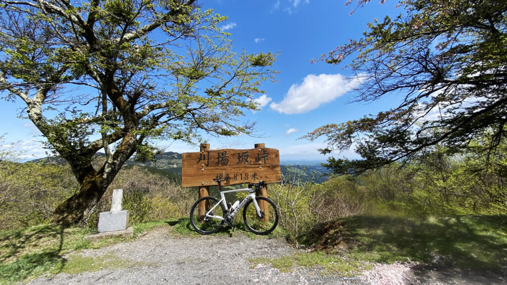 苅場坂峠の後の林道梅本線がヤバかった