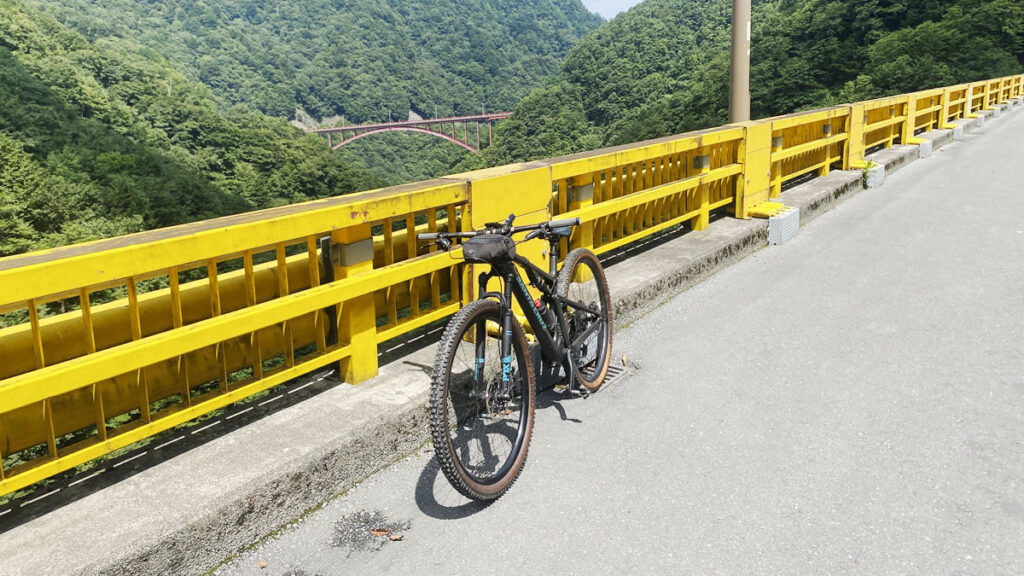 ローディーは害悪でしかないからMTBにしようよ(´_ゝ｀)