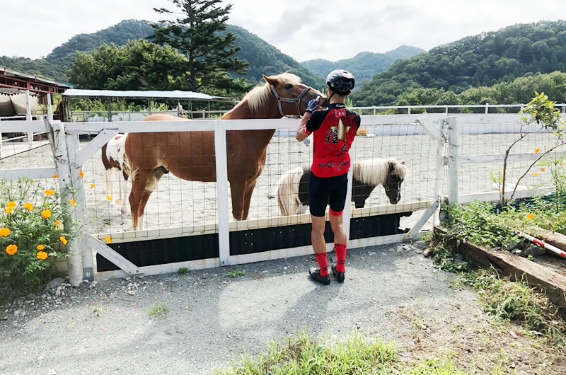 ダンシングよりもお馬さんと戯れよう(ﾟ∀ﾟ)！