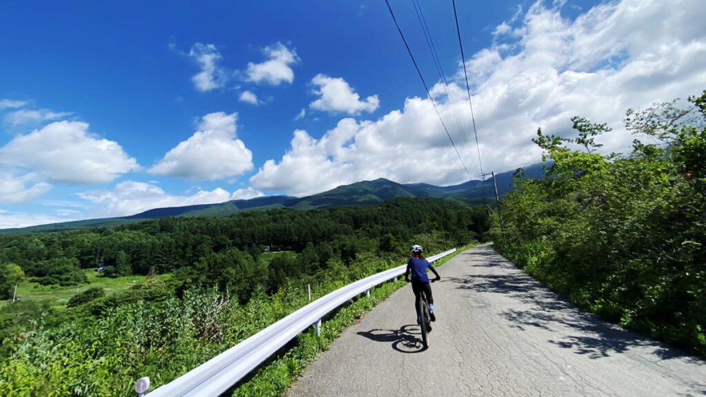 足が痛くて自転車で遠くへ行くのに難儀しております